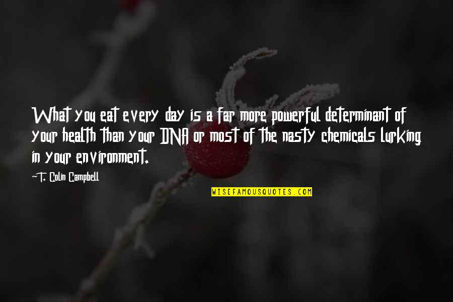 Powerful Than Quotes By T. Colin Campbell: What you eat every day is a far Powerful Than Quotes By T. Colin Campbell: What you eat every day is a far