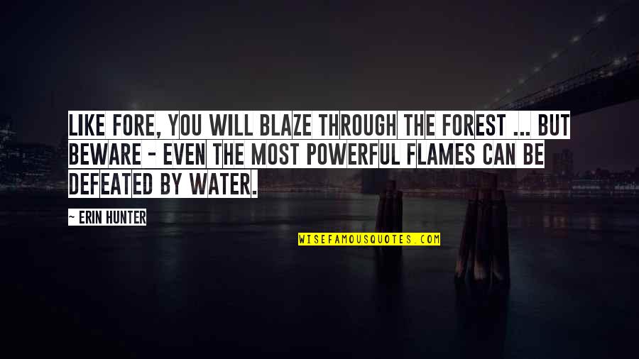 Powerful Water Quotes By Erin Hunter: Like fore, you will blaze through the forest