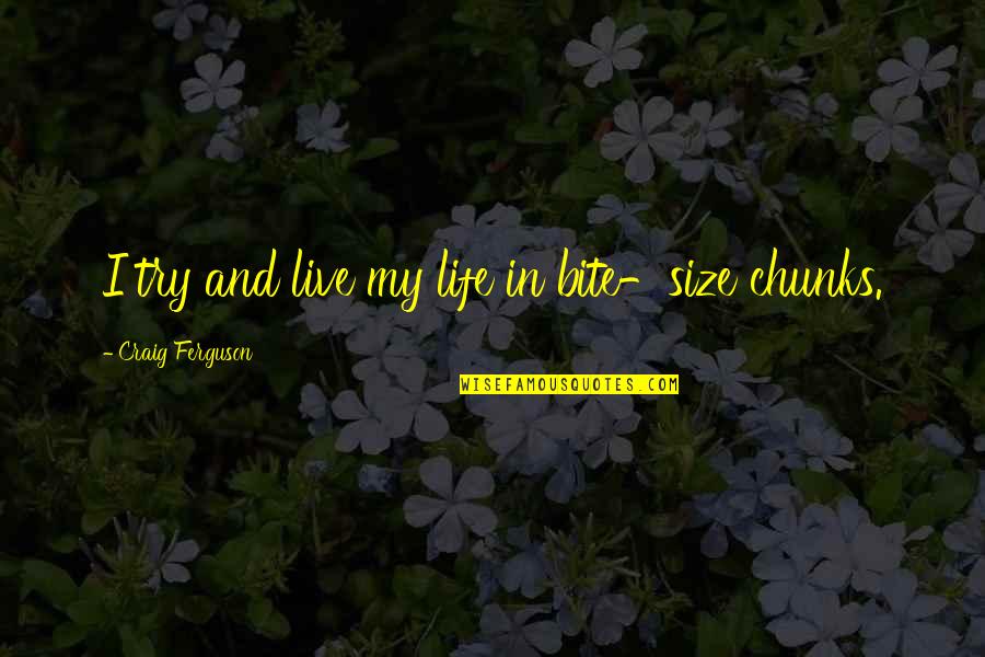 Powiekszone Quotes By Craig Ferguson: I try and live my life in bite-size