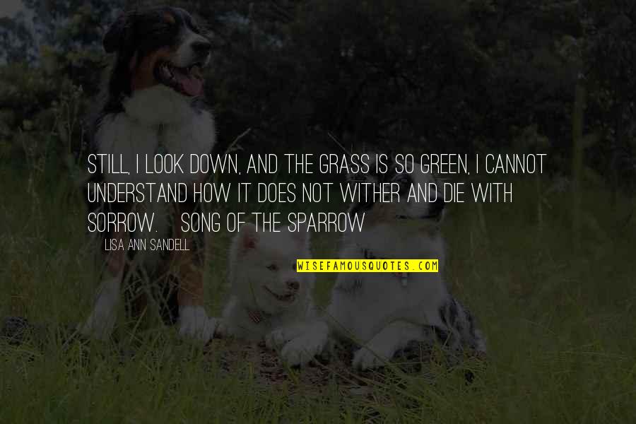 Powtarzac Quotes By Lisa Ann Sandell: Still, I look down, and the grass is Powtarzac Quotes By Lisa Ann Sandell: Still, I look down, and the grass is
