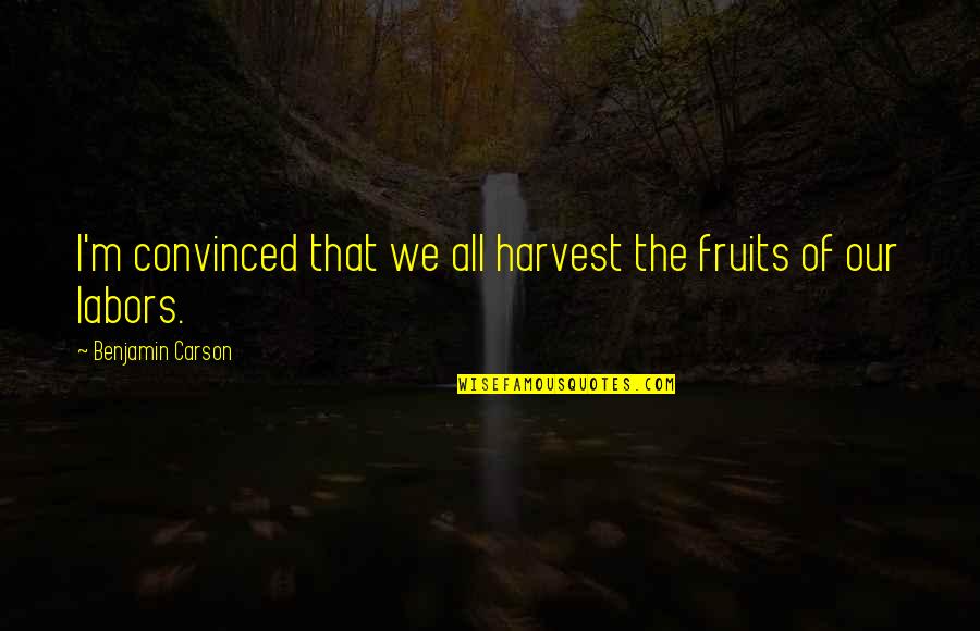 Poznaju Me Svi Quotes By Benjamin Carson: I'm convinced that we all harvest the fruits