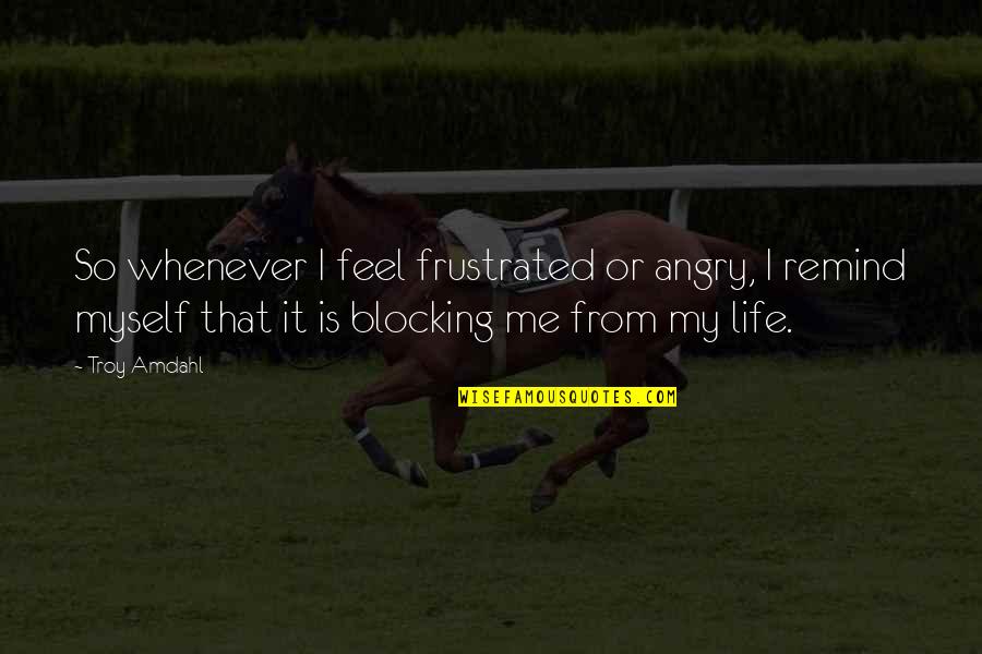 Pozzolith Quotes By Troy Amdahl: So whenever I feel frustrated or angry, I