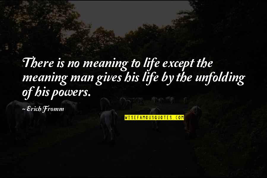 Pr Quotes And Quotes By Erich Fromm: There is no meaning to life except the