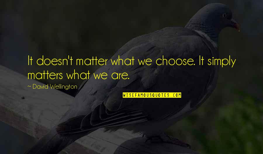 Pr Rit Rnics Quotes By David Wellington: It doesn't matter what we choose. It simply