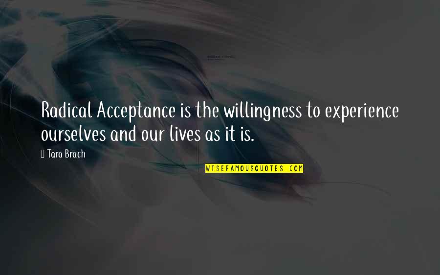 Practice Gratitude Everyday Quotes By Tara Brach: Radical Acceptance is the willingness to experience ourselves