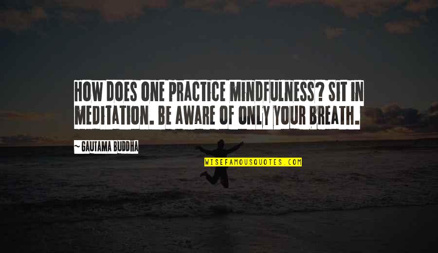 Practice Mindfulness Quotes By Gautama Buddha: How does one practice mindfulness? Sit in meditation. Practice Mindfulness Quotes By Gautama Buddha: How does one practice mindfulness? Sit in meditation.