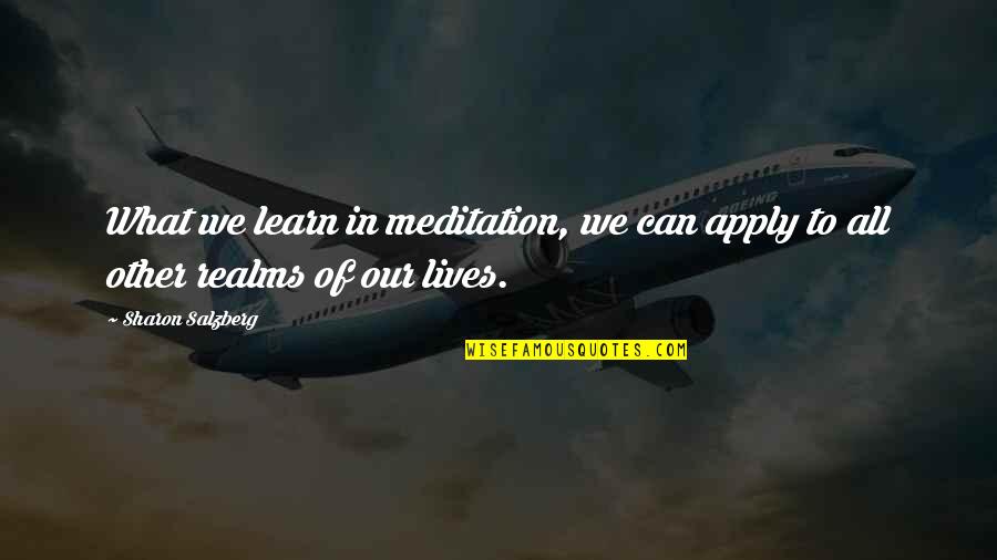 Practice Mindfulness Quotes By Sharon Salzberg: What we learn in meditation, we can apply