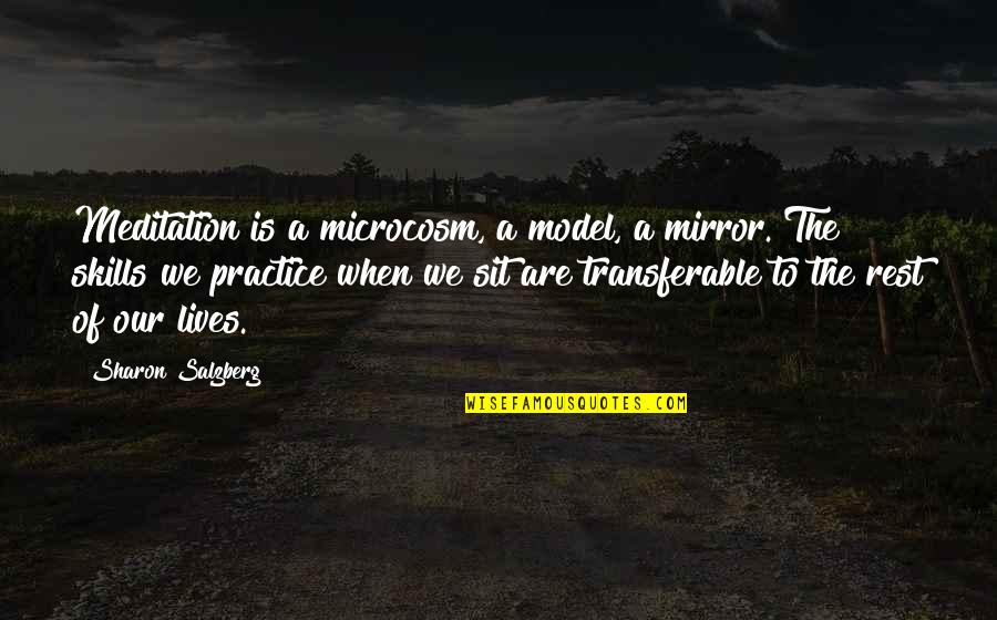 Practice Mindfulness Quotes By Sharon Salzberg: Meditation is a microcosm, a model, a mirror.