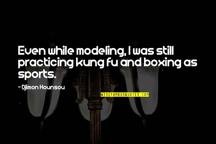 Practicing Sports Quotes By Djimon Hounsou: Even while modeling, I was still practicing kung