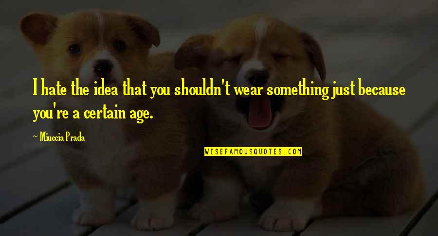 Prada Prada Quotes By Miuccia Prada: I hate the idea that you shouldn't wear Prada Prada Quotes By Miuccia Prada: I hate the idea that you shouldn't wear