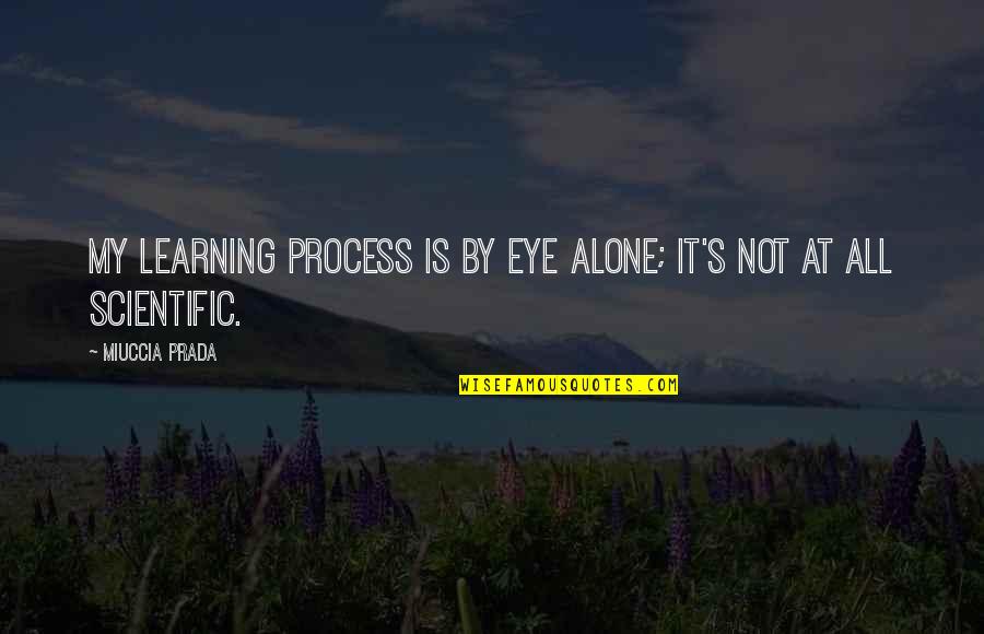 Prada Prada Quotes By Miuccia Prada: My learning process is by eye alone; it's Prada Prada Quotes By Miuccia Prada: My learning process is by eye alone; it's