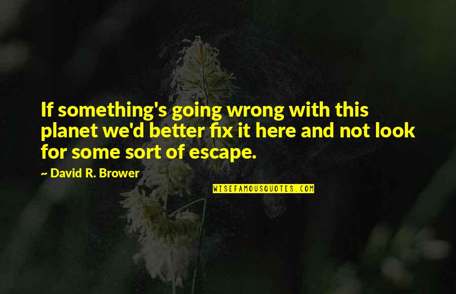 Pradaria Steaks Quotes By David R. Brower: If something's going wrong with this planet we'd Pradaria Steaks Quotes By David R. Brower: If something's going wrong with this planet we'd