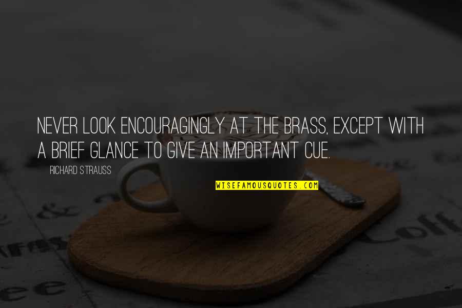 Pradelles Quotes By Richard Strauss: Never look encouragingly at the brass, except with