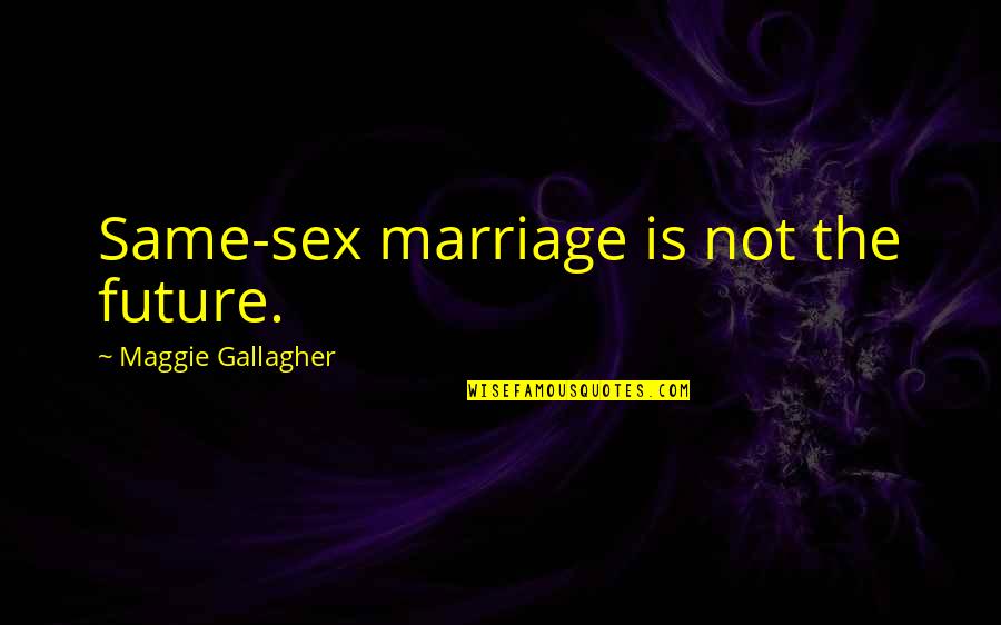 Pragmatic Programmer Quotes By Maggie Gallagher: Same-sex marriage is not the future.