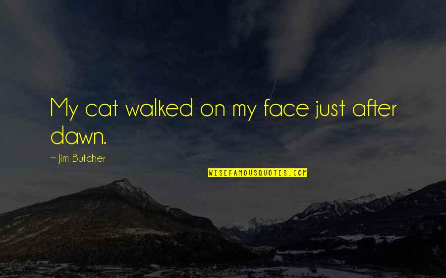 Praise And Worship Inspirational Quotes By Jim Butcher: My cat walked on my face just after