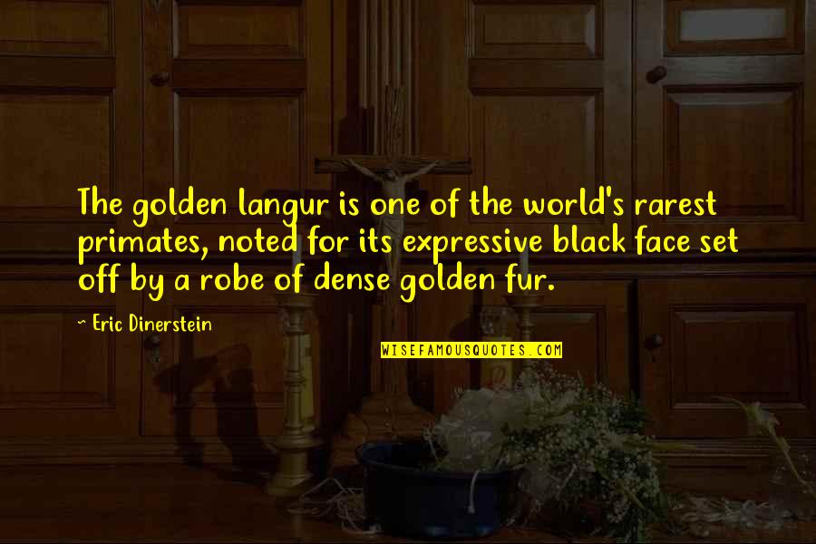 Praise Funny Quotes By Eric Dinerstein: The golden langur is one of the world's