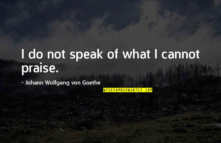 Praise Quotes By Johann Wolfgang Von Goethe: I do not speak of what I cannot