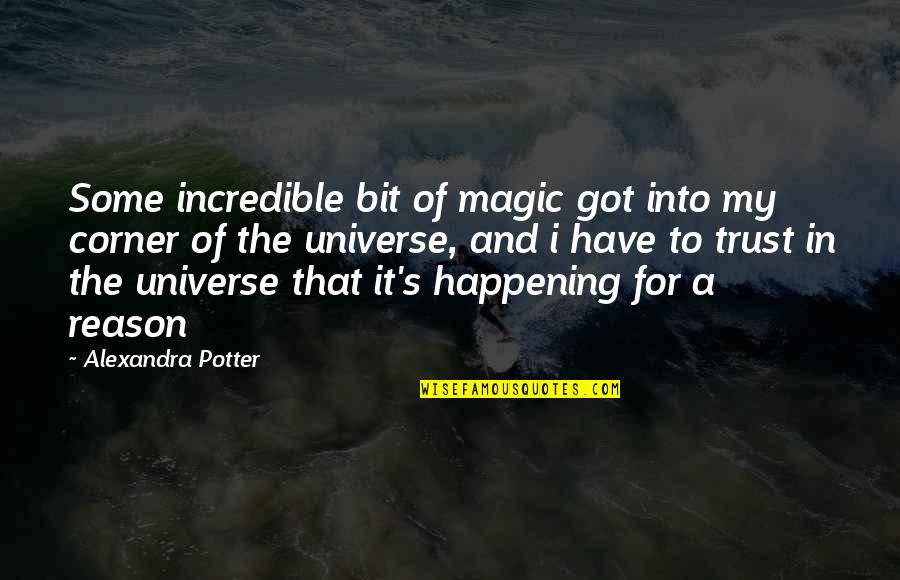 Prak Quotes By Alexandra Potter: Some incredible bit of magic got into my Prak Quotes By Alexandra Potter: Some incredible bit of magic got into my