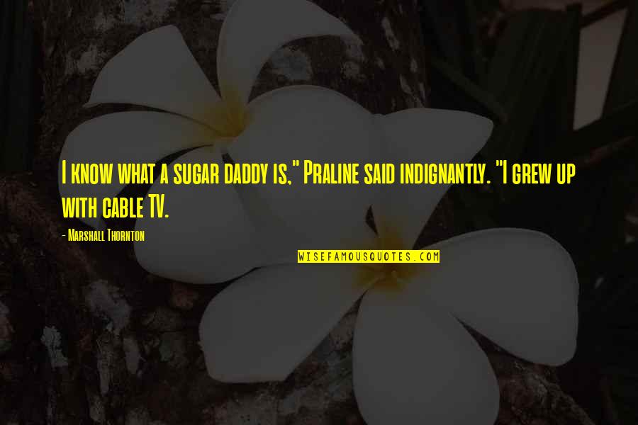 Praline Quotes By Marshall Thornton: I know what a sugar daddy is," Praline