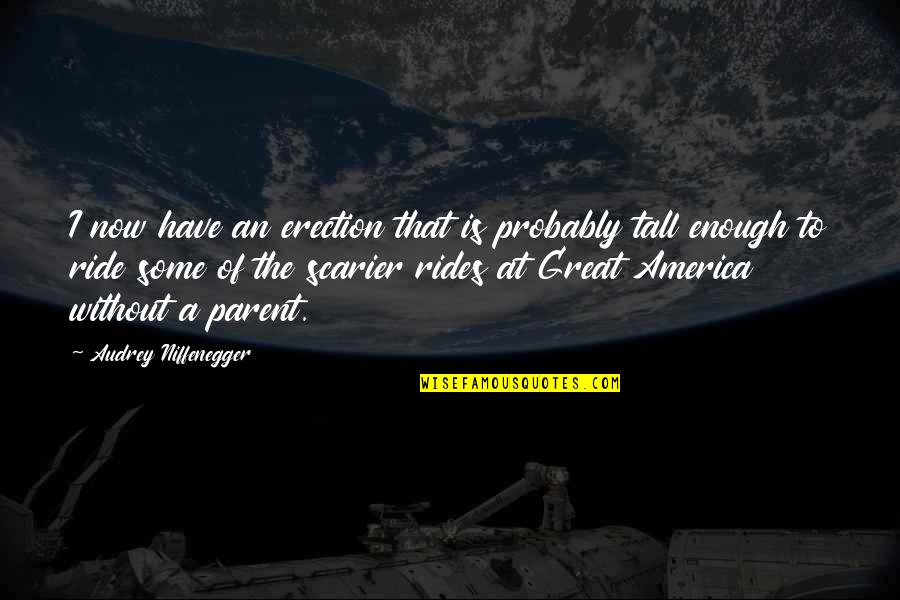Pranamam Quotes By Audrey Niffenegger: I now have an erection that is probably Pranamam Quotes By Audrey Niffenegger: I now have an erection that is probably