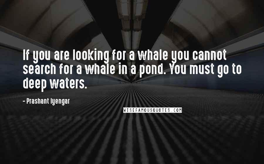 Prashant Iyengar quotes: If you are looking for a whale you cannot search for a whale in a pond. You must go to deep waters.