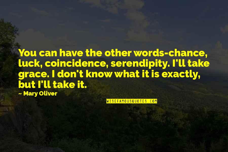 Pravcan Quotes By Mary Oliver: You can have the other words-chance, luck, coincidence,