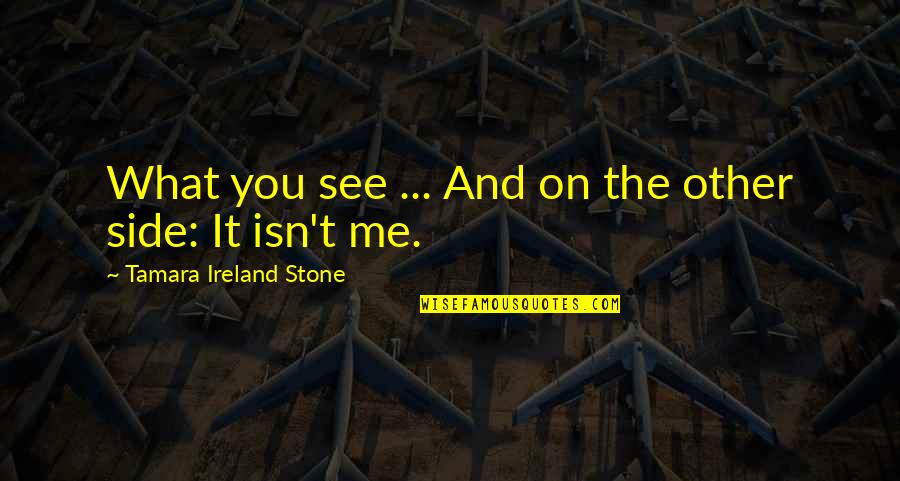 Praveen Kumar Pastor Quotes By Tamara Ireland Stone: What you see ... And on the other