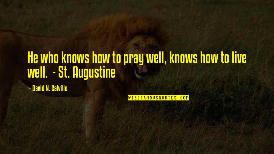 Pray All Is Well Quotes By David N. Calvillo: He who knows how to pray well, knows