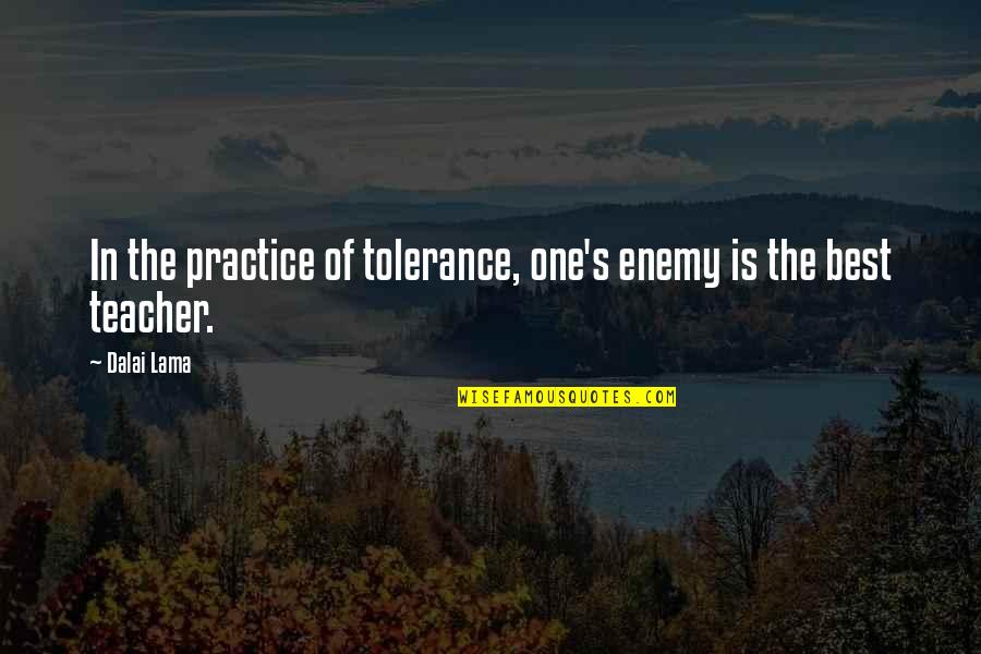 Pray For Someone Health Quotes By Dalai Lama: In the practice of tolerance, one's enemy is