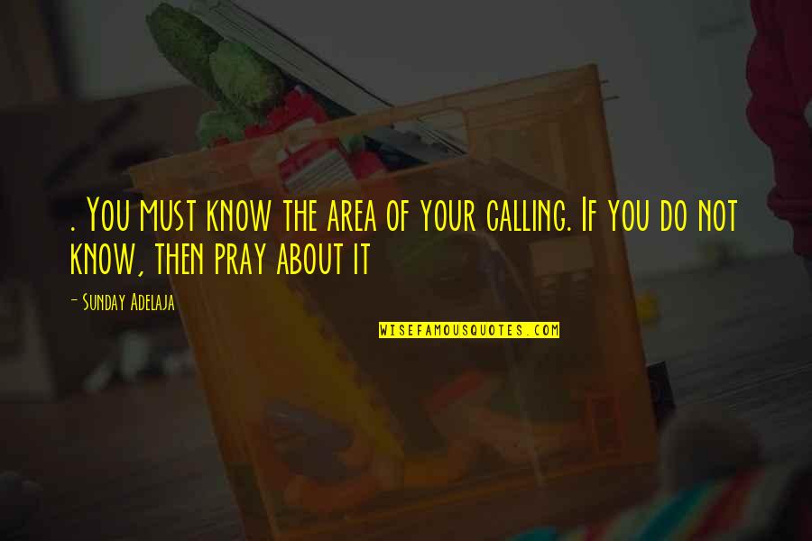 Pray For Those Quotes By Sunday Adelaja: . You must know the area of your