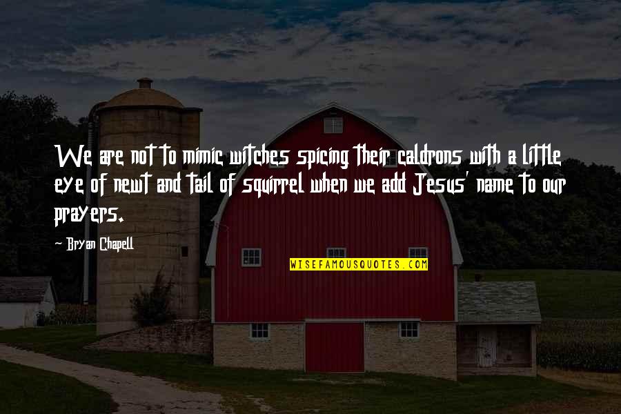 Prayer To Jesus Quotes By Bryan Chapell: We are not to mimic witches spicing their