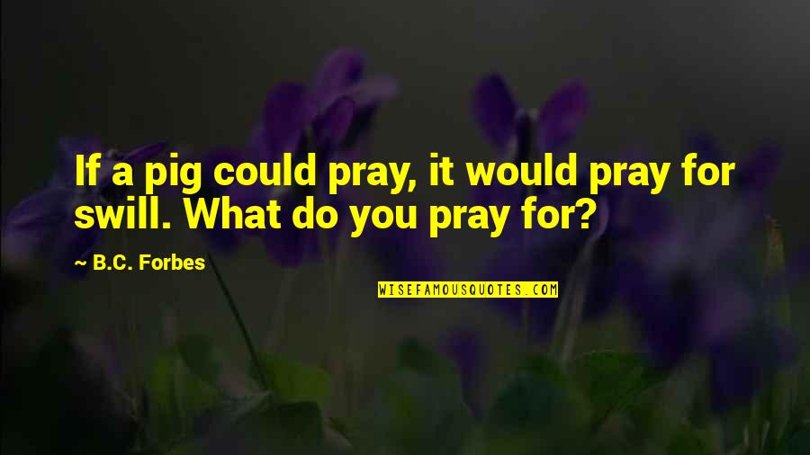 Praying For You Quotes By B.C. Forbes: If a pig could pray, it would pray