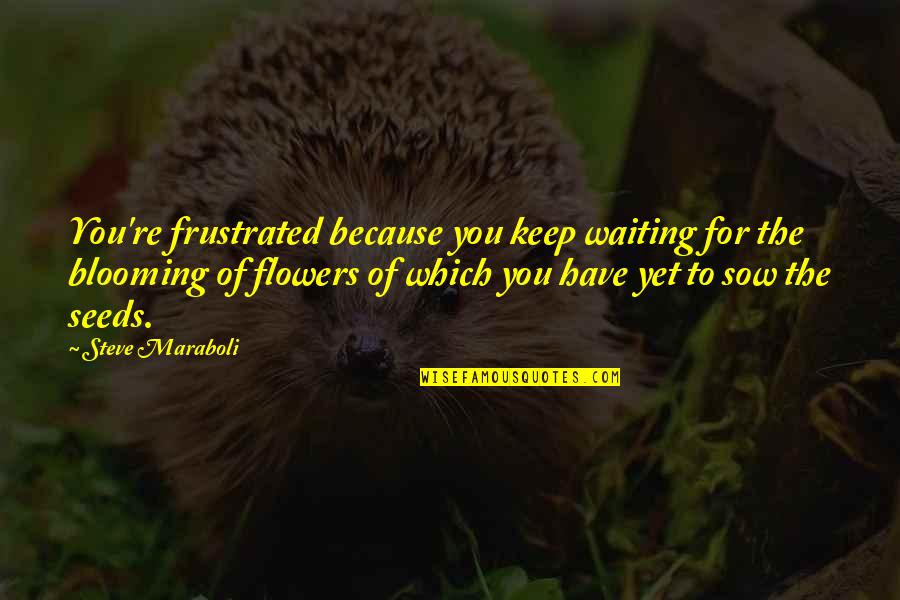 Prcd Pra Quotes By Steve Maraboli: You're frustrated because you keep waiting for the Prcd Pra Quotes By Steve Maraboli: You're frustrated because you keep waiting for the