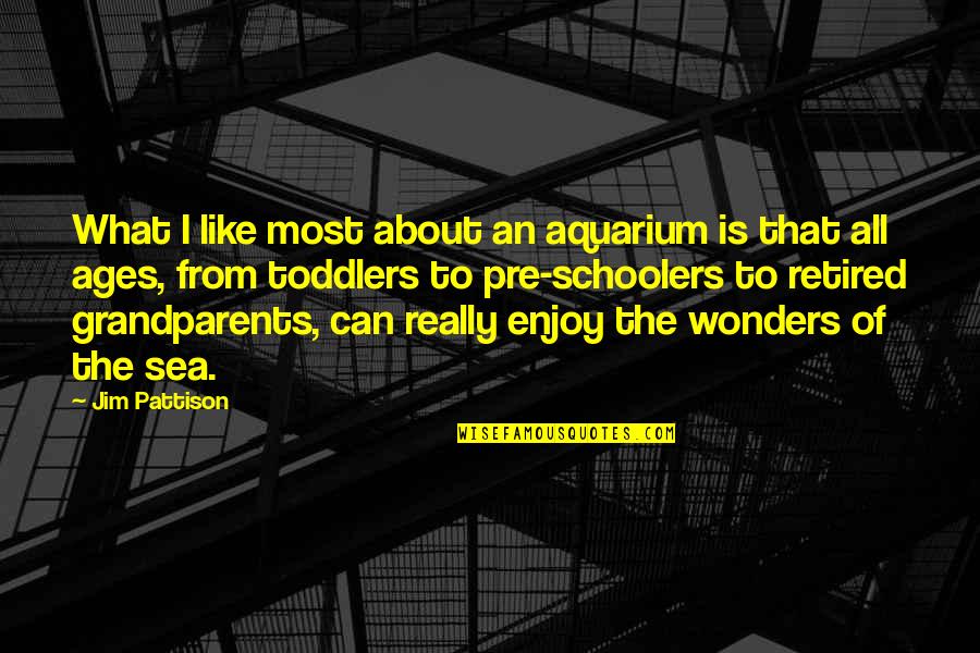 Pre-adolescent Quotes By Jim Pattison: What I like most about an aquarium is