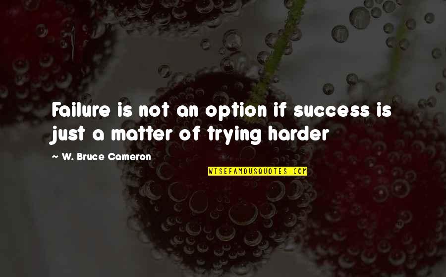 Pre Dead Quotes By W. Bruce Cameron: Failure is not an option if success is