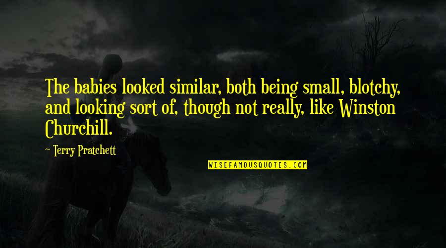 Pre Philosophical Quotes By Terry Pratchett: The babies looked similar, both being small, blotchy, Pre Philosophical Quotes By Terry Pratchett: The babies looked similar, both being small, blotchy,