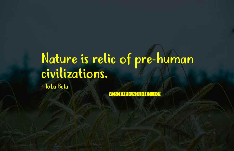 Pre Quotes By Toba Beta: Nature is relic of pre-human civilizations.
