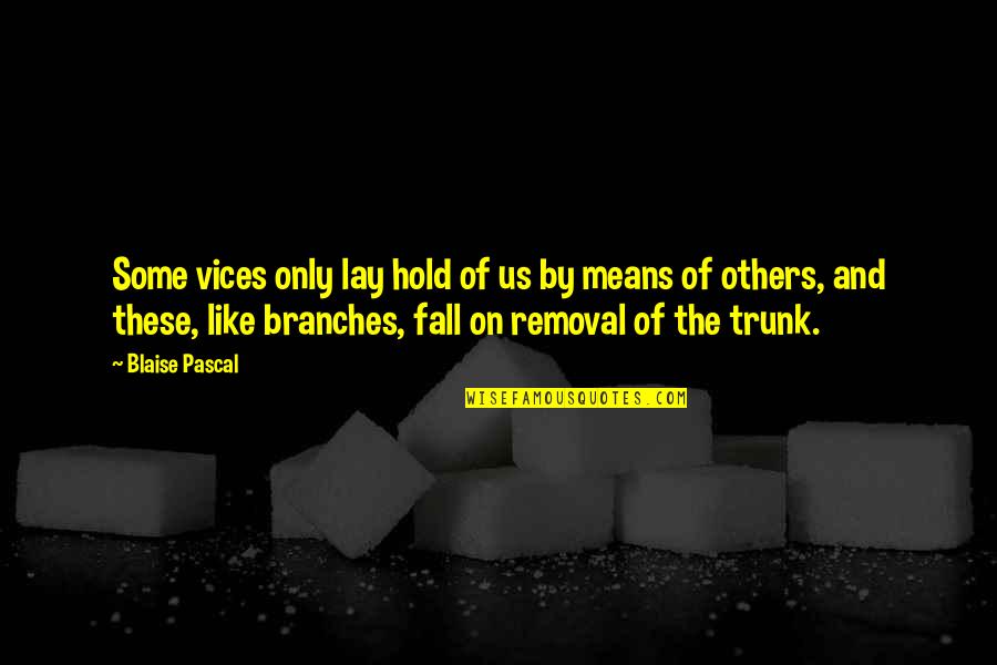 Prebotic Quotes By Blaise Pascal: Some vices only lay hold of us by