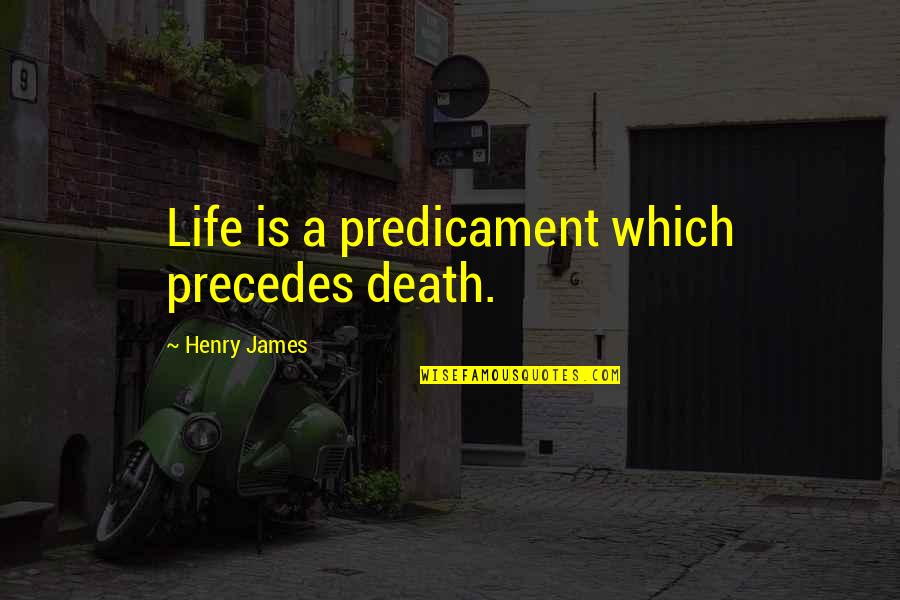Precedes Quotes By Henry James: Life is a predicament which precedes death.