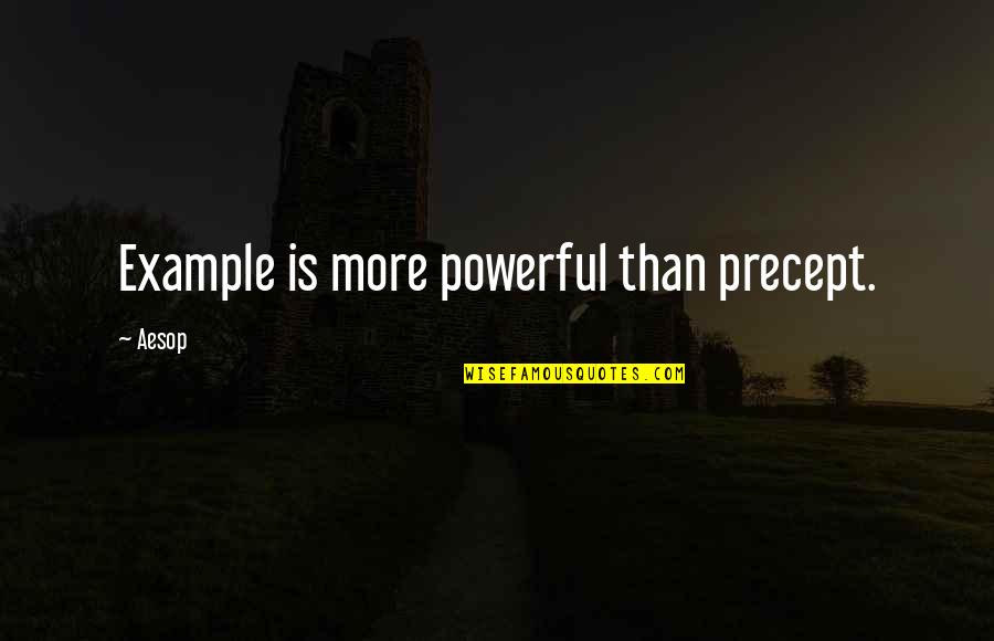 Precept Quotes By Aesop: Example is more powerful than precept.