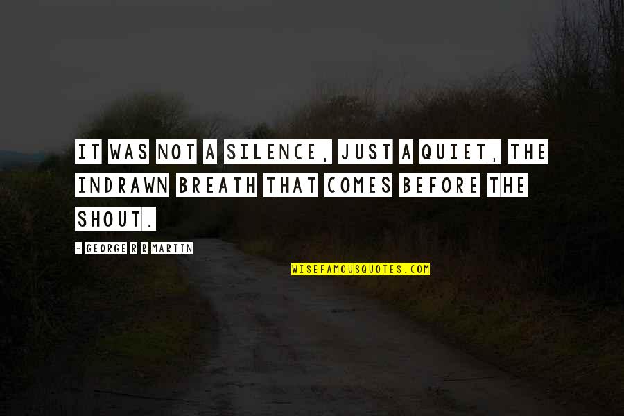 Preceptial Quotes By George R R Martin: It was not a silence, just a quiet,