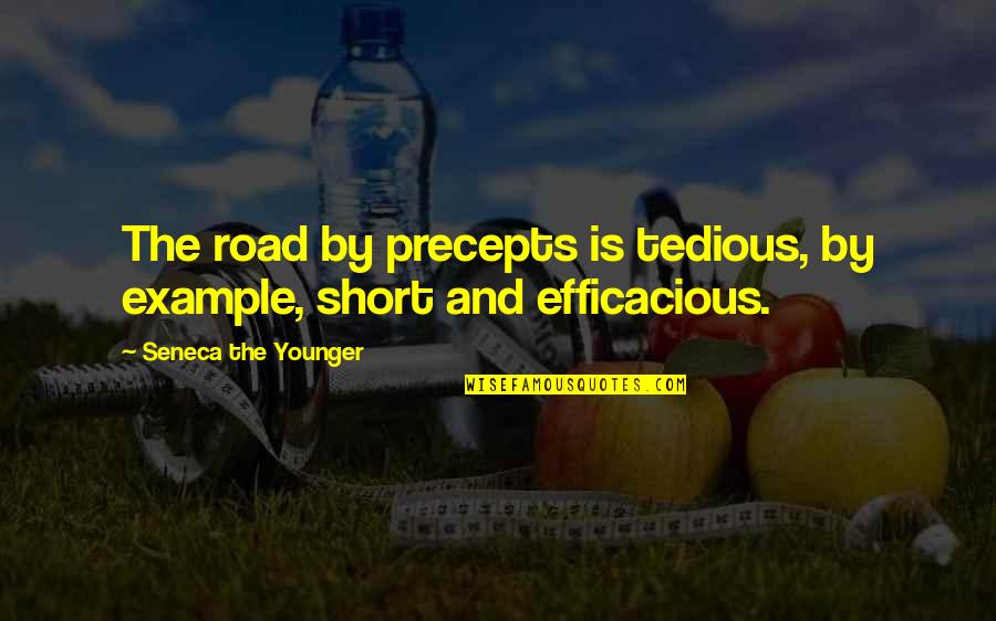 Precepts Quotes By Seneca The Younger: The road by precepts is tedious, by example,