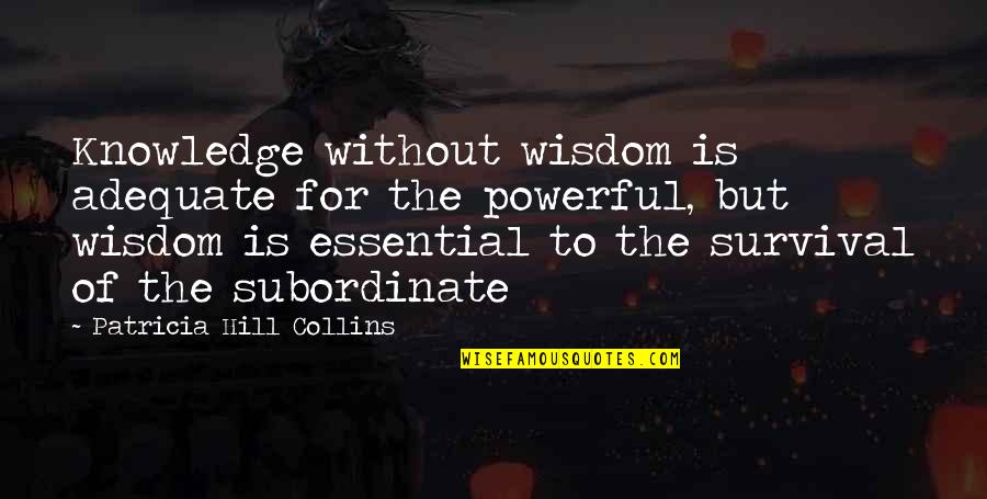 Preciadores Quotes By Patricia Hill Collins: Knowledge without wisdom is adequate for the powerful,