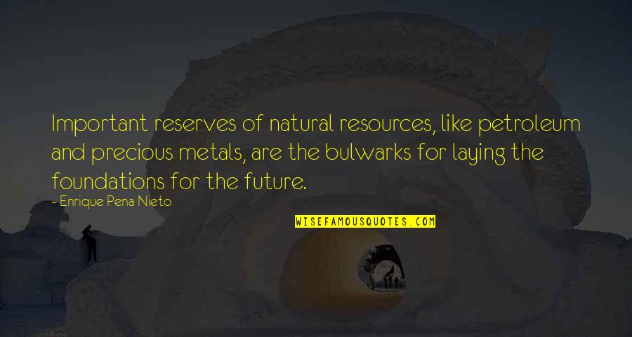 Precious Metals Quotes By Enrique Pena Nieto: Important reserves of natural resources, like petroleum and Precious Metals Quotes By Enrique Pena Nieto: Important reserves of natural resources, like petroleum and