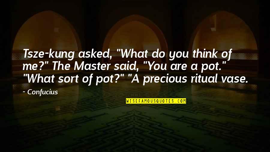 Precious You Quotes By Confucius: Tsze-kung asked, "What do you think of me?"
