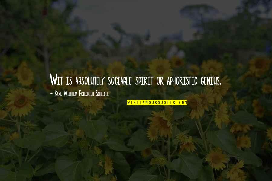 Precipices Quotes By Karl Wilhelm Friedrich Schlegel: Wit is absolutely sociable spirit or aphoristic genius.