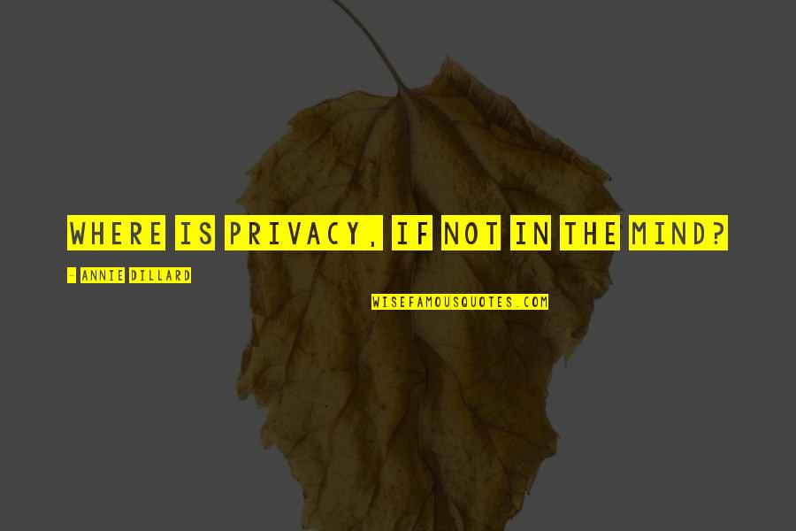 Precis Quotes By Annie Dillard: Where is privacy, if not in the mind?