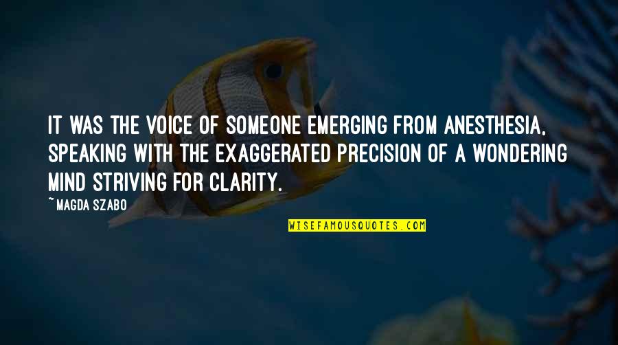 Precision Quotes By Magda Szabo: It was the voice of someone emerging from