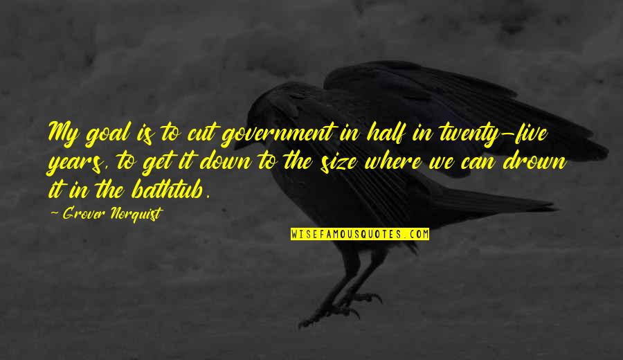 Preclearance Def Quotes By Grover Norquist: My goal is to cut government in half Preclearance Def Quotes By Grover Norquist: My goal is to cut government in half
