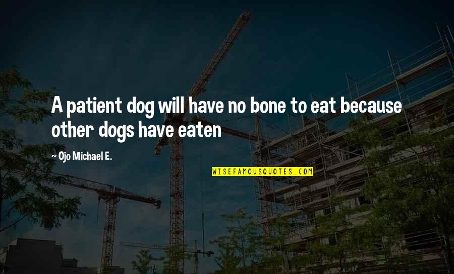 Precludes Antonym Quotes By Ojo Michael E.: A patient dog will have no bone to